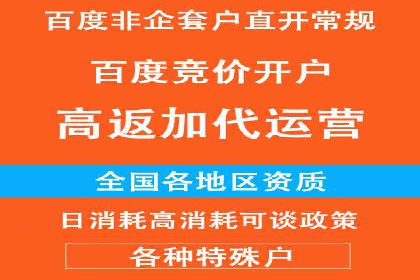 SEM竞价实战：成功案例解析